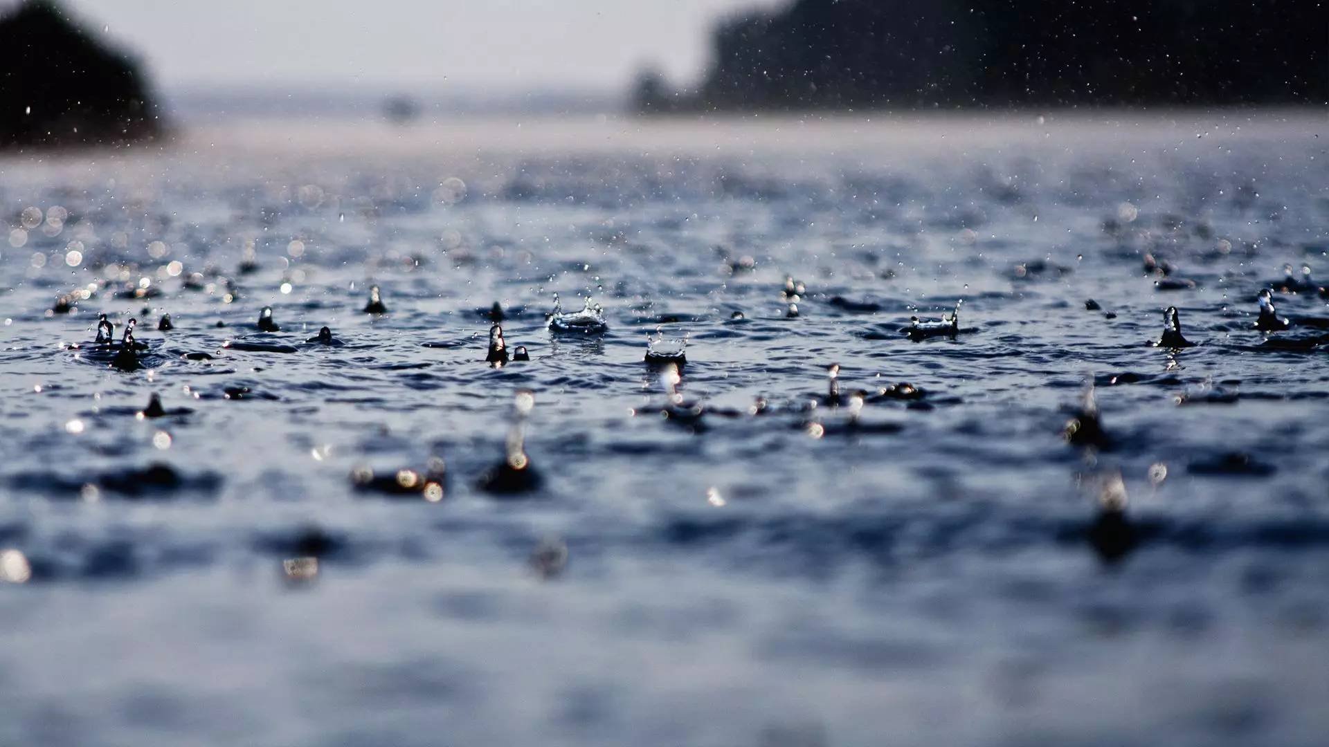 1715670726331908.jpg 1715670726331908.jpg